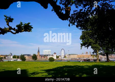 Blick über den Rhein, gesehen durch Äste eines Baumes aus dem Landkreis Oberkassel, mit weißem Burgturm, Lambertus-Kirche und Riesenrad. Stockfoto