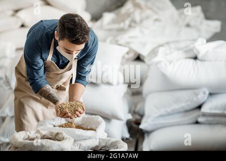 Große Ernte, Kleinunternehmen Eigentümer und Überprüfung der Zutaten für die Produktion Craft Bier Stockfoto