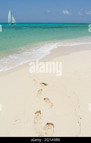 Eine Hobie-Katze, die in einem karibischen Meer in der Nähe eines tropischen Strandes mit menschlichen Fußabdrücken auf der mexikanischen Insel Cozumel segelt. Stockfoto