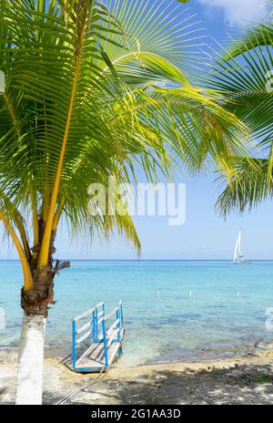 Vertikaler Blick auf einen Strand auf der mexikanischen Insel Cozumel mit Palmen, dem türkisfarbenen Meer und einer Hobie Cat. Stockfoto