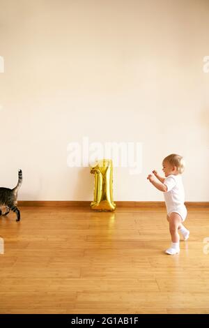 Das kleine Mädchen läuft im Zimmer einer tabby Katze hinterher Stockfoto