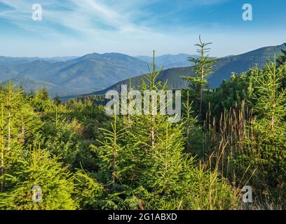 Sommer Karpaten Berge Abendansicht. Stony Gorgay Massiv, Ukraine. Stockfoto