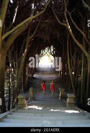 Bowery Gasse im „Tunnel“ aus Baumzweigen in den Gärten des Mateus Palace, zwei unbekannte Mädchen in roten Kleidern in der Ferne, Vila Real Stockfoto