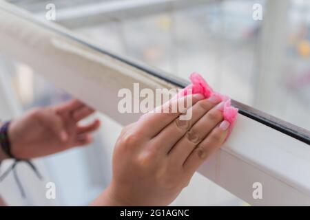 Die Frau wäscht das Fenster in der Wohnung Stockfoto