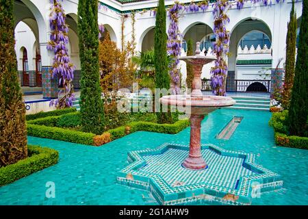 Frankreich, Paris, Pariser Moschee, Glyzinienblume Stockfoto