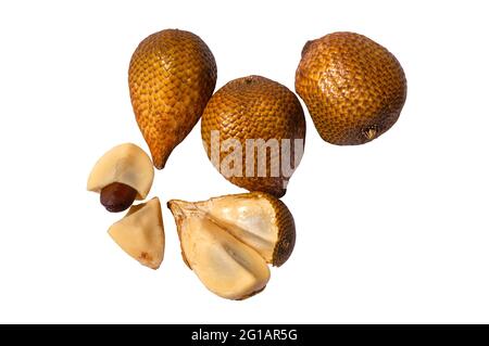 Draufsicht auf Salak gading (Salacca edulis oder Salacca zalacca), bekannt als Schlangenfrucht oder Schlangenhautfrucht, eine Palmenart, die auf der Insel Java beheimatet ist Stockfoto