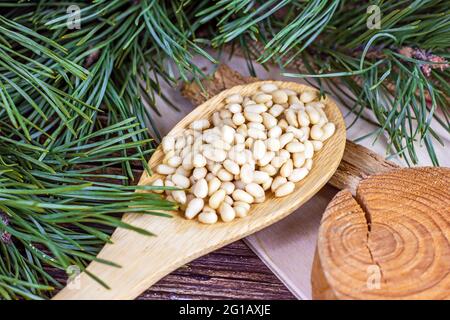 Frisch geschälte Pinienkerne im Löffel mit grünen Nadelästen auf hellem Holzhintergrund. Stockfoto