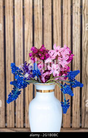 Bouquet von rosa und blauen ersten Frühlingsblumen in weißer Vase Stockfoto