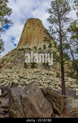 Blick auf Devils Tower und Ponderosa Pine vom Tower Trail, der um den Gipfel führt, Devils Tower National Monument, Wyoming, USA Stockfoto