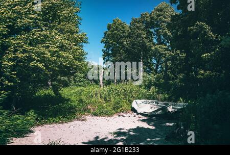 Ein einsames, zerstörtes, verdorbenes Fischerboot liegt mitten im Wald gestrandet. Altes Ruderboot am Strand des Zarnowitz-Sees im Sommer. Stockfoto