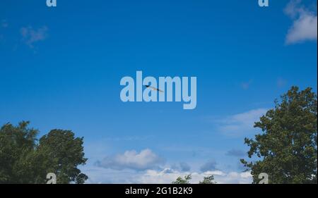 Storchvogel im Halbflug gegen einen hellblauen Himmel im Sommer in Zeitlupe. Storch am Himmel im Hochsommer. Störchenflug, weißer Störch, Marabou. Stockfoto