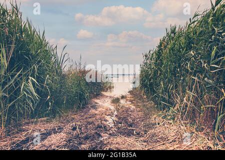 Dichter Schlamm am Wasserloch in der Nähe der Küste mit einer Gasse dient als Zugang zum See mit einer Waldspur und einer Anlegestelle - Angeln im Hochsommer. Stockfoto