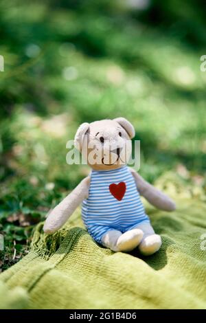 Teddybär sitzt auf einer grünen Decke auf dem Rasen. Nahaufnahme Stockfoto