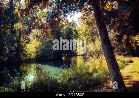 Frühlingslandschaft mit Wald und Teich im Kaisergarten in Oberhausen. In Oberhausen als Volksgarten und Tiergarten parken. Garten anzeigen. Stockfoto