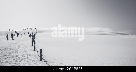 Fußabdrücke im Sand. Panorama-Poster einer minimalistischen Szene mit Fußabdrücken im Sand in der Dünenwüste an der Ostseeküste in der Natur von Łeba. Stockfoto