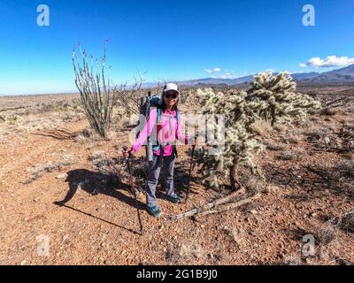 Ein Durchgangswanderer auf dem Arizona Trail, Arizona, USA Stockfoto