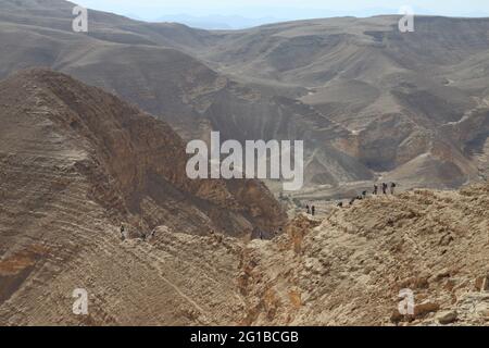 Wanderer, ältere Erwachsene, Männer und Frauen gehen vom Berg Kippa auf einem schmalen, gefährlichen Fußweg nach Nachal Reim in der Meyshar-Wüste, Negev-Wüste, Israel. Stockfoto