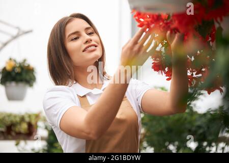 Porträt einer entzückenden kaukasischen Frau mit weißem T-Shirt und beigefarbener Schürze, die Blumen in Töpfen im Gewächshaus gärtelt. Konzept der Floristik, Pflanzen und Menschen. Stockfoto