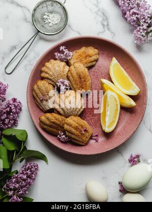 Blick von oben auf leckere Madeleine mit frischen Zitronenstücken und Lavandula-Blüten zwischen Puderzucker im Sieb und Eiern Stockfoto