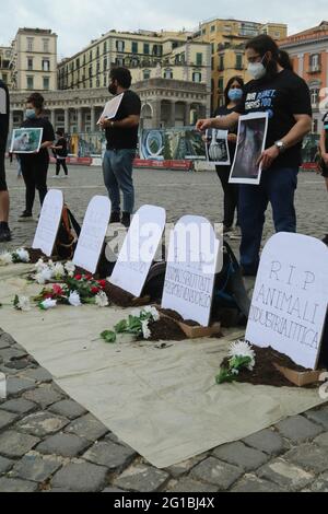 Napoli, Italien. Juni 2021. Die INTERNATIONALE Veranstaltung NARD (National Animal Rights Day) zum Gedenken an das Leben von Tieren, die Opfer des Sklavensystems wurden. (Foto: Salvatore Esposito/Pacific Press) Quelle: Pacific Press Media Production Corp./Alamy Live News Stockfoto