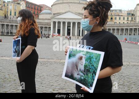 Napoli, Italien. Juni 2021. Die INTERNATIONALE Veranstaltung NARD (National Animal Rights Day) zum Gedenken an das Leben von Tieren, die Opfer des Sklavensystems wurden. (Foto: Salvatore Esposito/Pacific Press) Quelle: Pacific Press Media Production Corp./Alamy Live News Stockfoto