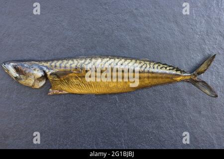 Makrele (Scomber Scombrus) Stockfoto