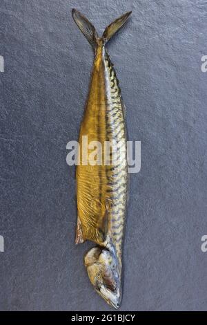 Makrele (Scomber Scombrus) Stockfoto