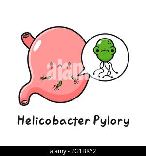 Niedliches trauriges menschliches Magenorgan mit Helicobacter pylori-Bakterien. Vektor Hand gezeichnet Cartoon kawaii Figur Illustration. Isoliert auf weißem Hintergrund. Kranker Magen mit Helicobacter pylori-Bakterien Stock Vektor