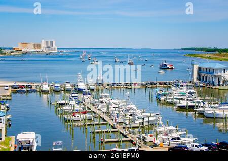 Eine Luftaufnahme zeigt Garnelenboote, die am Biloxi Small Craft Harbour, 30. Mai 2021, in Biloxi, Mississippi, angedockt sind. Stockfoto