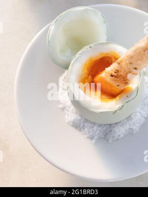 Perfekt weich gekochtes Ei mit Toast und Trüffelsalz Stockfoto