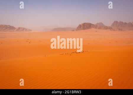 Wandern in der Wadi Rum Wüste, Anfang April, Jordanien Stockfoto