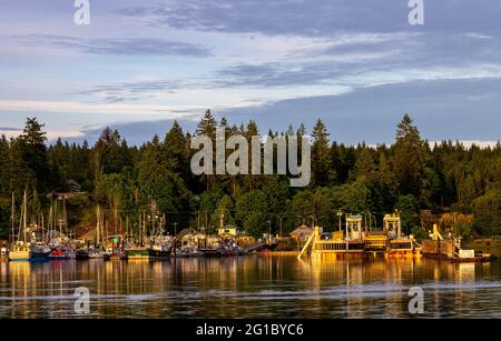 BC Ferries Quathiaski Cove (Quadra Island) Terminal, Quadra Island, BC, Kanada Stockfoto