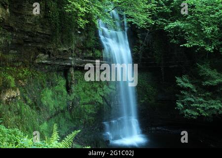 Glencar Waterfall, ein Wasserfall in einem Wald in der Nähe von Glencar Lough in der Grafschaft Leitrim, irland Stockfoto