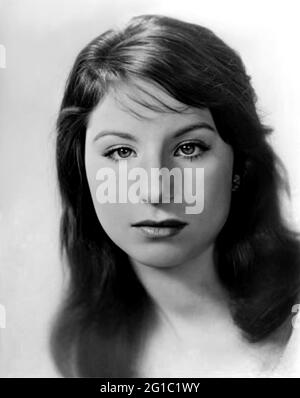 1960 c., USA : die gefeierte amerikanische Sängerin BARBRA STREISAND ( geboren 1942 ), als ein junges Mädchen im Alter von 18 Jahren war . Unbekannter Fotograf. - GESCHICHTE - FOTO STORICHE - personalità da giovane giovani - ragazza - Persönlichkeit Persönlichkeiten als junges Mädchen - INFANZIA - KINDHEIT - POPMUSIK - MUSICA - Cantante --- ARCHIVIO GBB Stockfoto