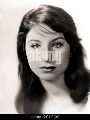 1960 c., USA : die gefeierte amerikanische Sängerin BARBRA STREISAND ( geboren 1942 ), als ein junges Mädchen im Alter von 18 Jahren war . Unbekannter Fotograf. - GESCHICHTE - FOTO STORICHE - personalità da giovane giovani - ragazza - Persönlichkeit Persönlichkeiten als junges Mädchen - INFANZIA - KINDHEIT - POPMUSIK - MUSICA - Cantante --- ARCHIVIO GBB Stockfoto