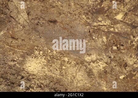 Dunkelbrauner Achat mit feinen schwarzen und weißen Adern und Flecken. Hintergrund, Muster, Textur. Stockfoto