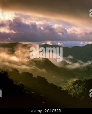 Clearing Storm, San Rafael Wilderness, Los Padres National Forest, Kalifornien Stockfoto