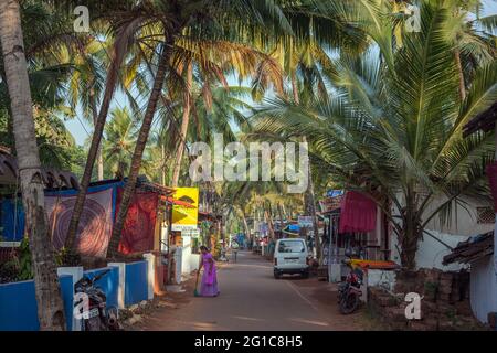 Wunderschöne Palmenwedel mit angestrahltem Sonnenlicht über der Hauptstraße durch Agonda (Agonda Beach Road), Goa, Indien Stockfoto