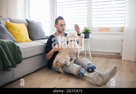 Porträt eines behinderten jungen Mannes, der zuhause mit dem Hund spielt, Beinprothetik. Stockfoto