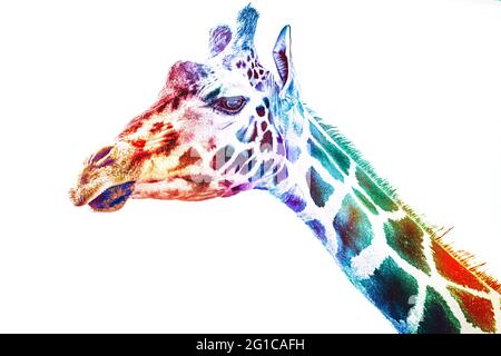 Expressionismus Andy Warhol Pop Art. Giraffe im Kunststil im Aquarell-Stil als cooles Panorama-Poster. Minimalismus Leinwand Foto. Stockfoto