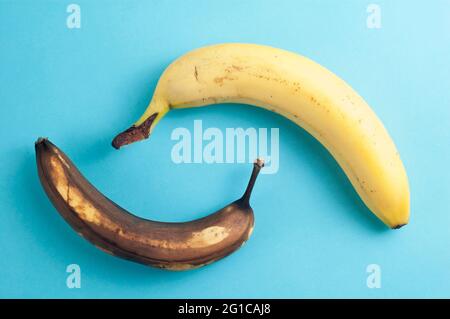 Minimales Flatlay-Konzept aus reifen und verfaulten Bananen auf blauem Hintergrund Stockfoto