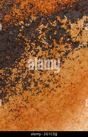 Alte Grunge Rusty Metall Metallic Farbigen Wandhintergrund. Rote Orange Gelb Abstrakte Metallische Oberfläche Stockfoto