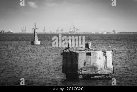 Denkmal-Statue neben einer Boje im Wasser am Hafen von Gdynia in der Bucht von Danzig. Wahrzeichen an der Ostseeküste als trauriges Denkmal. Stockfoto