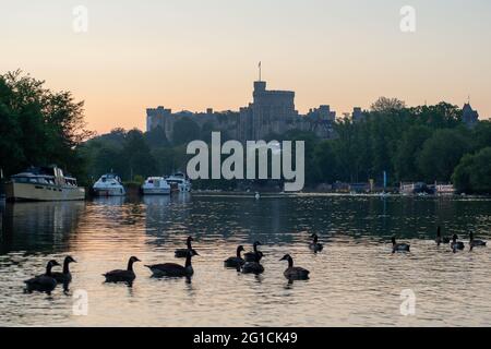 Eton, Windsor, Britannien. Juni 2021. Es war ein verschwommener Start in den Tag bei Sonnenaufgang heute Morgen. Kanadagänse waren auf der Themse unterwegs, was nach dem geschäftigen Wochenende der Bootsfahrer auf dem Wasser ruhiger war. Quelle: Maureen McLean/Alamy Stockfoto