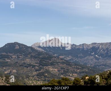 Mallorca Panoramablick mit üppiger Frühlingsvegetation und Berglandschaft mit puig Major Stockfoto