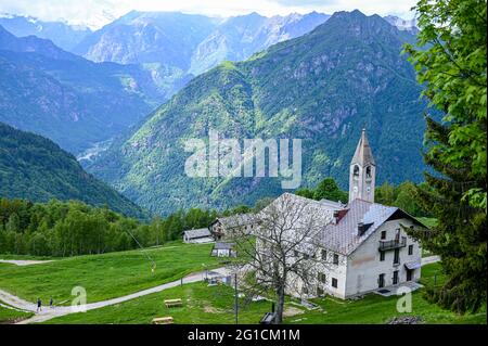 Im Sommer grüne Weiden auf der Hochebene Alpe di Mera in Valsesia, Piemont, Italien Stockfoto