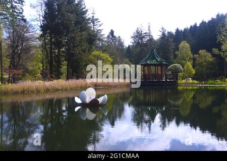 Die Ting-Pagode am Magnolia Lake im Himalayan Garden & Sculpture Park, Grewelthorpe, Ripon, North Yorkshire, England, VEREINIGTES KÖNIGREICH. Stockfoto