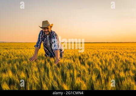 Bauer steht in seinem wachsenden Weizenfeld. Er freut sich über die erfolgreiche Aussaat. Stockfoto