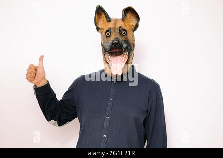 Person mit einer Hundemaske, die den Daumen einer Hand hält, als Zeichen der Zustimmung auf weißem Hintergrund, Konzept für Erfolg und Unterstützung Stockfoto