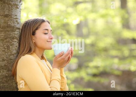 Profil einer zufriedenen Frau, die Kaffee in einem Wald oder Park riecht Stockfoto